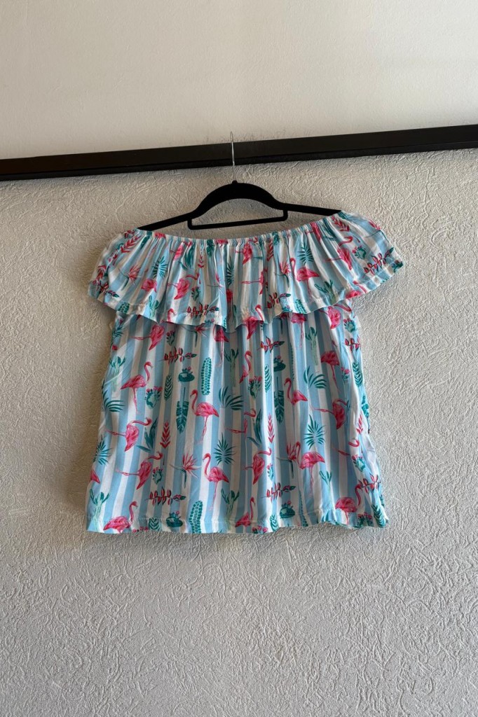 REMERA PAISANITA